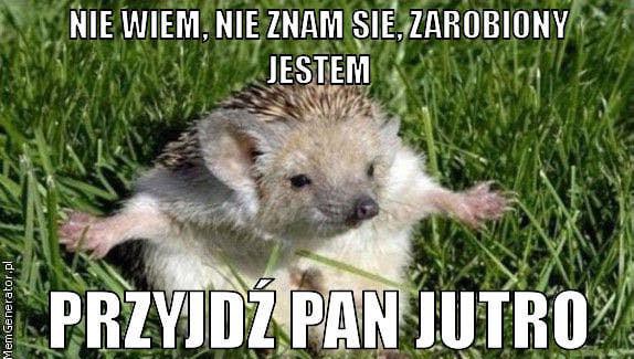 Nie wiem. Nie znam się. Zarobiony jestem - ASTA-NET