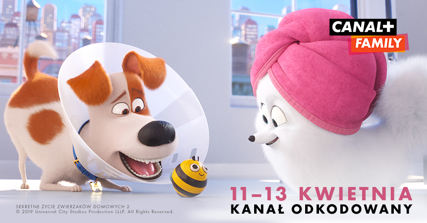 CANAL + FAMILY odkodowany 11-13 kwietnia - ASTA-NET