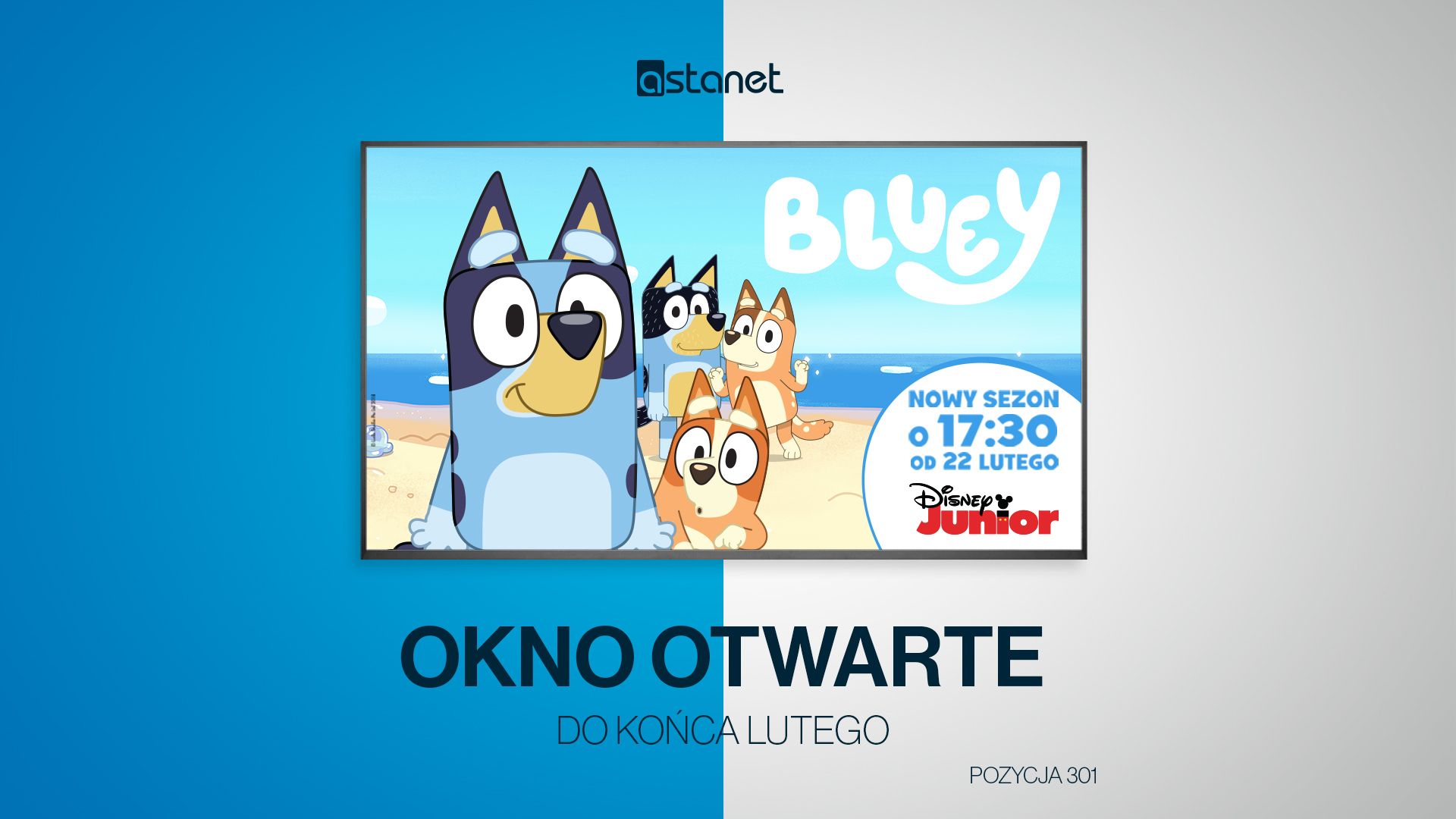 Disney Junior – okno otwarte ASTA-NET od 15-28 lutego - ASTA-NET