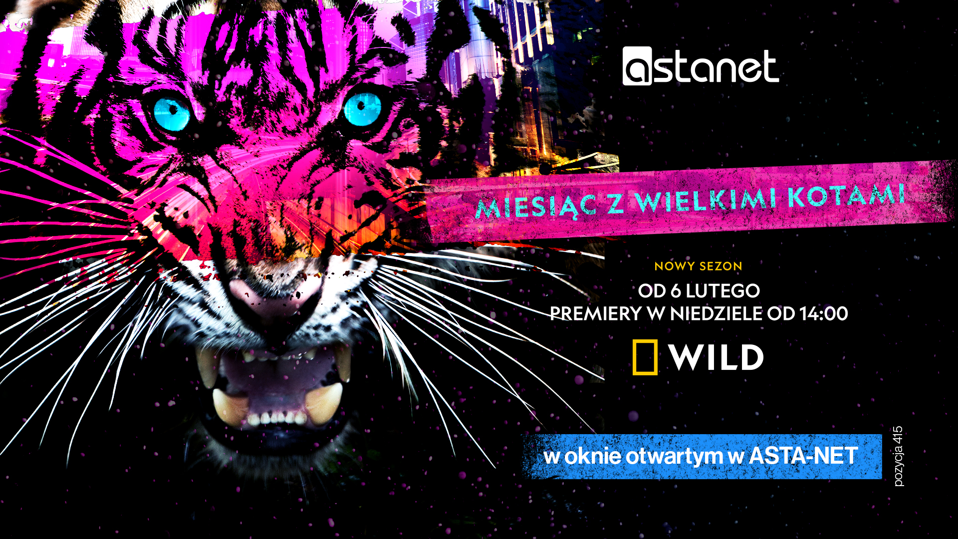 Miesiąc z wielkimi kotami – okno otwarte na kanał National Geographic WILD - ASTA-NET