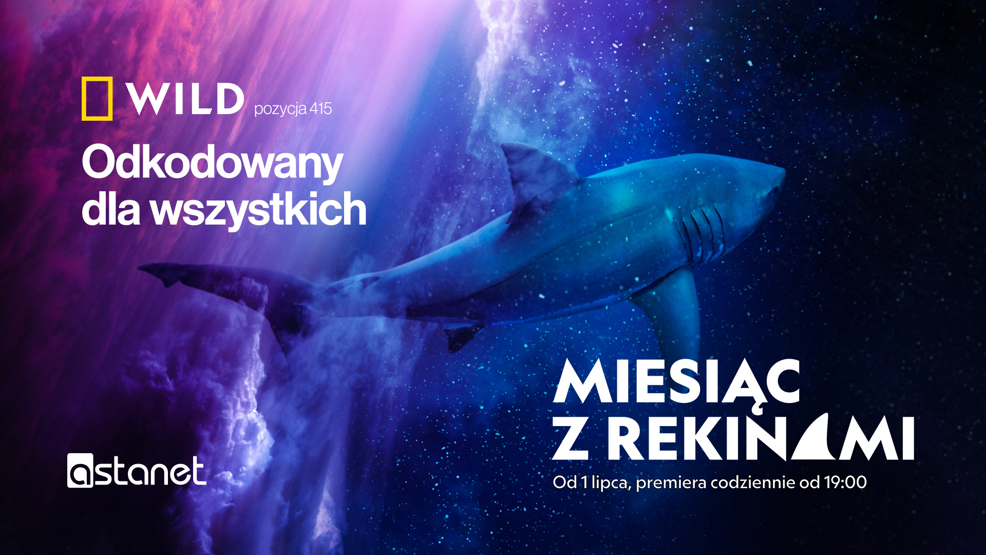 OKNO OTWARTE na "Miesiąc z rekinami" w National Geographic WILD - ASTA-NET