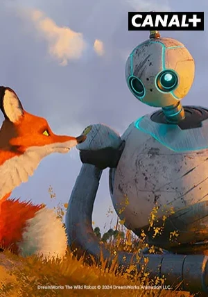 DZIKI ROBOT - ASTA-NET