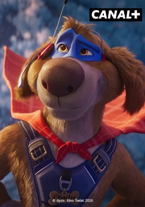 SUPER PIES i KOT ŁOTR - ASTA-NET