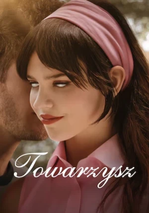 Towarzysz - ASTA-NET