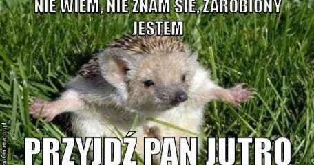 Nie wiem. Nie znam się. Zarobiony jestem - ASTA-NET