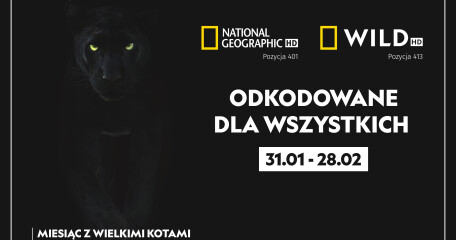 NATIONAL GEOGRAPHIC oraz NATIONAL GEOGRAPHIC WILD  ODKODOWANE W LUTYM  - ASTA-NET
