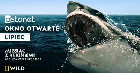 MIESIĄC Z REKINAMI w oknie otwartym ASTA-NET - ASTA-NET