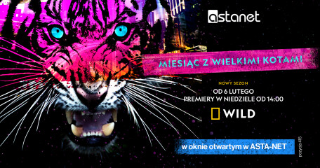 Miesiąc z wielkimi kotami – okno otwarte na kanał National Geographic WILD - ASTA-NET