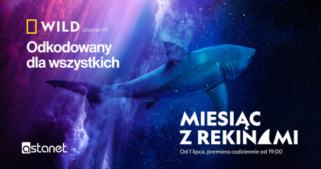 OKNO OTWARTE na "Miesiąc z rekinami" w National Geographic WILD - ASTA-NET